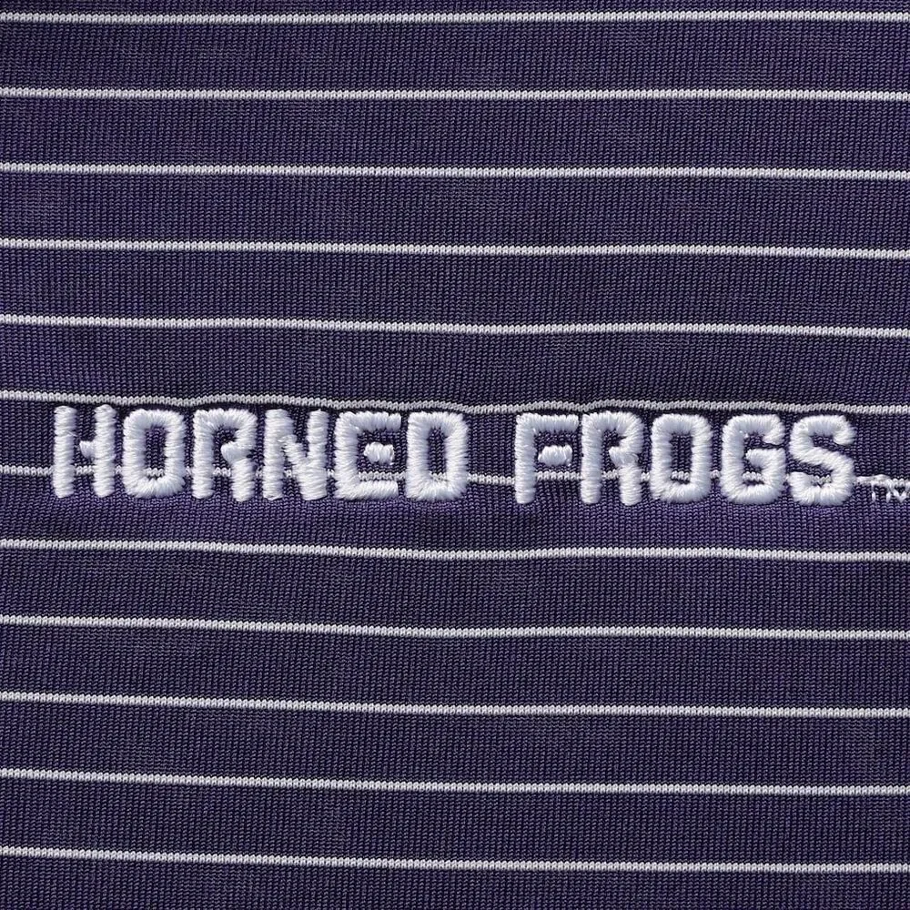 Nike TCU Horned Frogs Stadium Stripe Performance Team Polo Purple 2XL